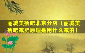 丽减美瘦吧北京分店（丽减美瘦吧减肥原理是用什么减的）