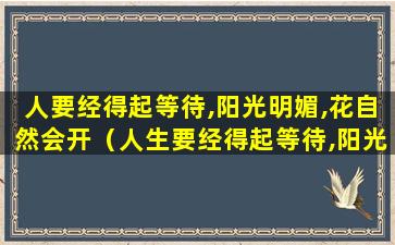 人要经得起等待,阳光明媚,花自然会开（人生要经得起等待,阳光明媚,花自然会开什么意思）