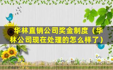 华林直销公司奖金制度（华林公司现在处理的怎么样了）