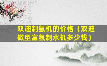双迪制氢机的价格（双迪微型富氢制水机多少钱）