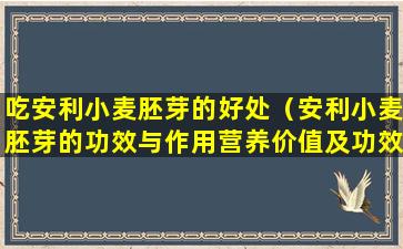 吃安利小麦胚芽的好处（安利小麦胚芽的功效与作用营养价值及功效）