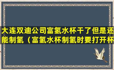 大连双迪公司富氢水杯干了但是还能制氢（富氢水杯制氢时要打开杯盖吗）