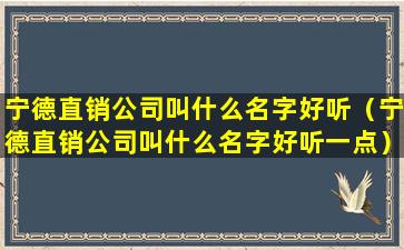 宁德直销公司叫什么名字好听（宁德直销公司叫什么名字好听一点）