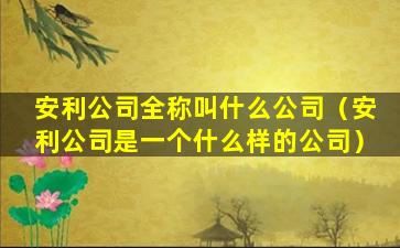 安利公司全称叫什么公司（安利公司是一个什么样的公司）