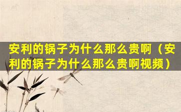 安利的锅子为什么那么贵啊（安利的锅子为什么那么贵啊视频）