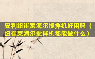 安利纽崔莱海尔搅拌机好用吗（纽崔莱海尔搅拌机都能做什么）