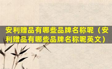 安利赠品有哪些品牌名称呢（安利赠品有哪些品牌名称呢英文）