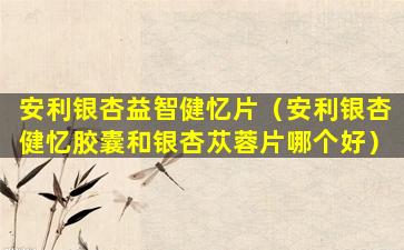 安利银杏益智健忆片（安利银杏健忆胶囊和银杏苁蓉片哪个好）