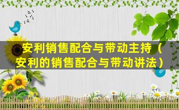 安利销售配合与带动主持（安利的销售配合与带动讲法）