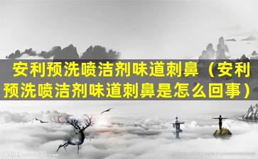 安利预洗喷洁剂味道刺鼻（安利预洗喷洁剂味道刺鼻是怎么回事）