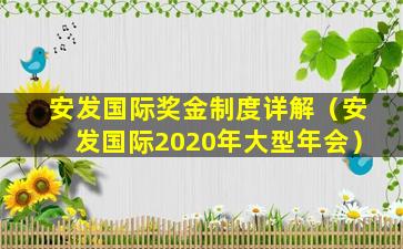 安发国际奖金制度详解（安发国际2020年大型年会）