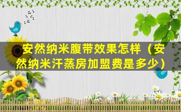 安然纳米腹带效果怎样（安然纳米汗蒸房加盟费是多少）
