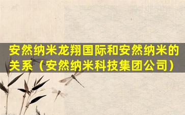 安然纳米龙翔国际和安然纳米的关系（安然纳米科技集团公司）