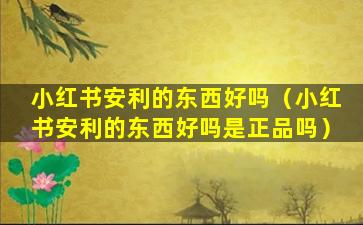 小红书安利的东西好吗（小红书安利的东西好吗是正品吗）