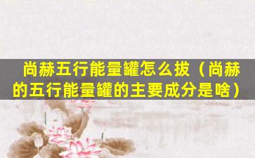 尚赫五行能量罐怎么拔（尚赫的五行能量罐的主要成分是啥）