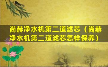 尚赫净水机第二道滤芯（尚赫净水机第二道滤芯怎样保养）