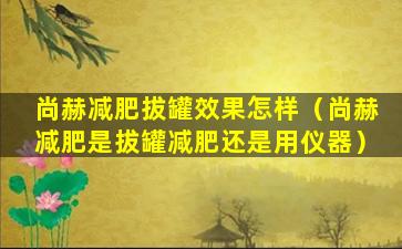 尚赫减肥拔罐效果怎样（尚赫减肥是拔罐减肥还是用仪器）