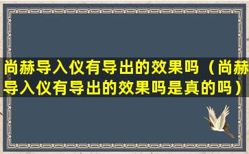 尚赫导入仪有导出的效果吗（尚赫导入仪有导出的效果吗是真的吗）