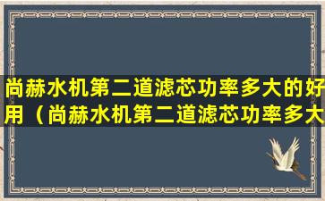 尚赫水机第二道滤芯功率多大的好用（尚赫水机第二道滤芯功率多大的好用一点）
