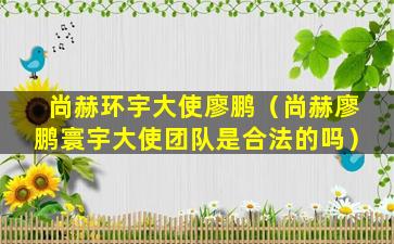 尚赫环宇大使廖鹏（尚赫廖鹏寰宇大使团队是合法的吗）