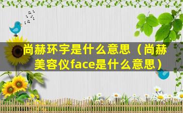 尚赫环宇是什么意思（尚赫美容仪face是什么意思）