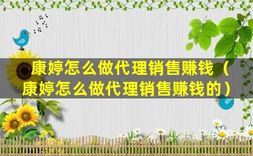 康婷怎么做代理销售赚钱（康婷怎么做代理销售赚钱的）