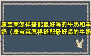 康宝莱怎样搭配最好喝的牛奶和羊奶（康宝莱怎样搭配最好喝的牛奶和羊奶呢）