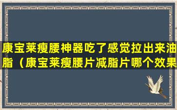 康宝莱瘦腰神器吃了感觉拉出来油脂（康宝莱瘦腰片减脂片哪个效果好）