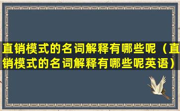 直销模式的名词解释有哪些呢（直销模式的名词解释有哪些呢英语）