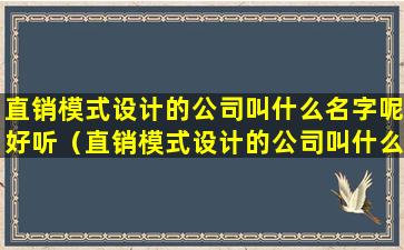 直销模式设计的公司叫什么名字呢好听（直销模式设计的公司叫什么名字呢好听一点）