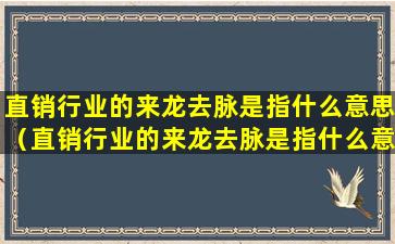 直销行业的来龙去脉是指什么意思（直销行业的来龙去脉是指什么意思啊）