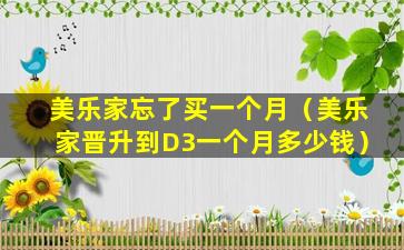美乐家忘了买一个月（美乐家晋升到D3一个月多少钱）