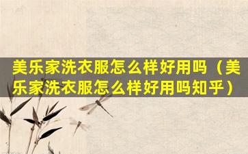 美乐家洗衣服怎么样好用吗（美乐家洗衣服怎么样好用吗知乎）