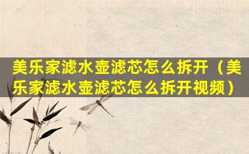 美乐家滤水壶滤芯怎么拆开（美乐家滤水壶滤芯怎么拆开视频）