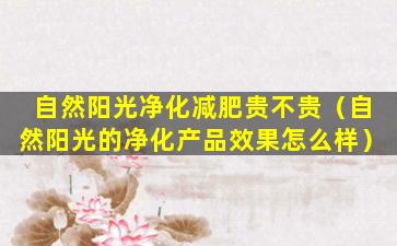 自然阳光净化减肥贵不贵（自然阳光的净化产品效果怎么样）