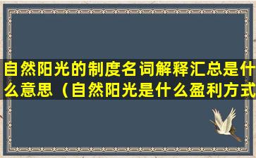 自然阳光的制度名词解释汇总是什么意思（自然阳光是什么盈利方式）