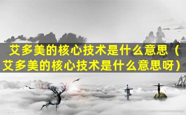 艾多美的核心技术是什么意思（艾多美的核心技术是什么意思呀）