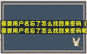 葆婴用户名忘了怎么找回来密码（葆婴用户名忘了怎么找回来密码呢）