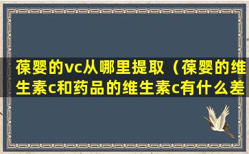 葆婴的vc从哪里提取（葆婴的维生素c和药品的维生素c有什么差异）