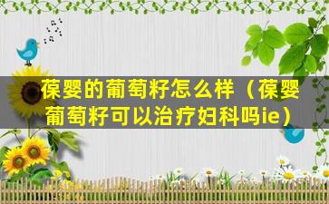 葆婴的葡萄籽怎么样（葆婴葡萄籽可以治疗妇科吗ie）
