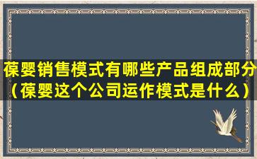 葆婴销售模式有哪些产品组成部分（葆婴这个公司运作模式是什么）