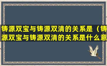 铸源双宝与铸源双清的关系是（铸源双宝与铸源双清的关系是什么意思）