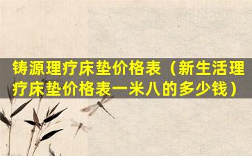 铸源理疗床垫价格表（新生活理疗床垫价格表一米八的多少钱）