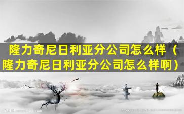 隆力奇尼日利亚分公司怎么样（隆力奇尼日利亚分公司怎么样啊）